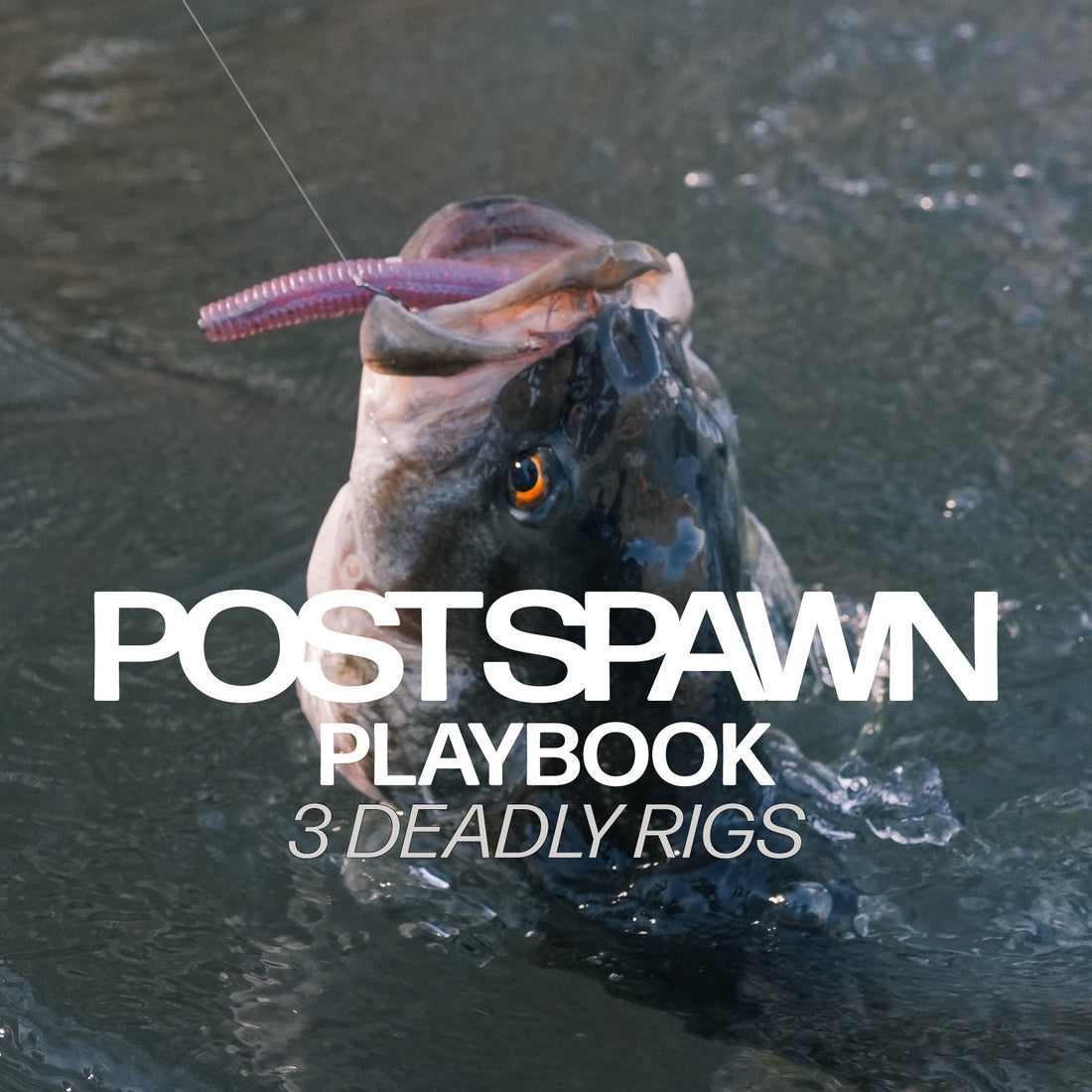 POST SPAWN PLAYBOOK
