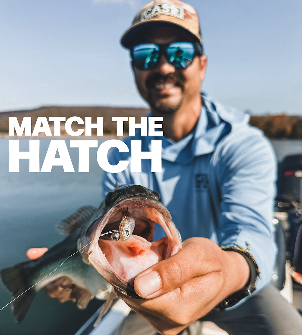 Match the Hatch - Fall Fishing