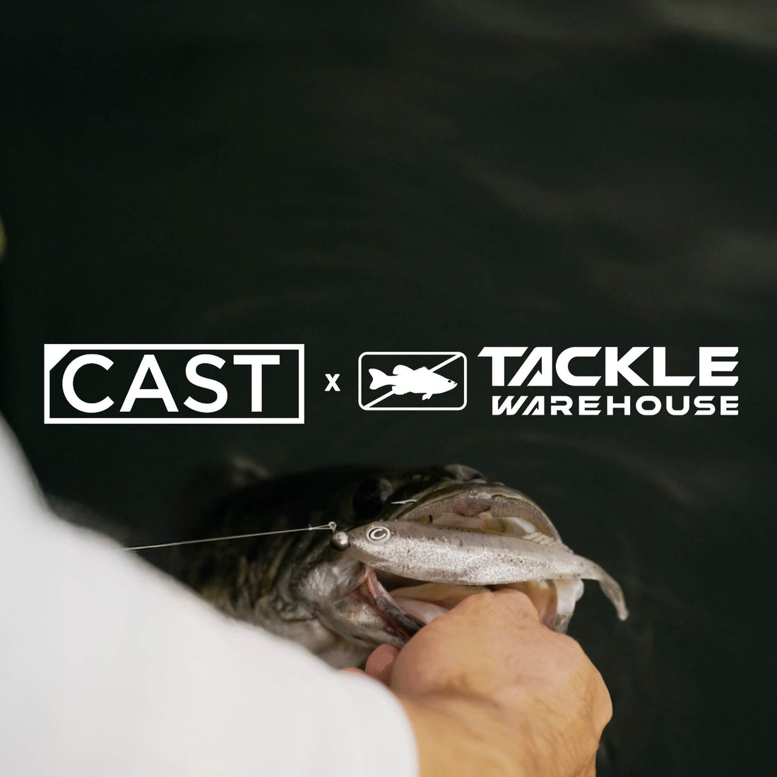 WE TEAMED UP WITH TACKLE WAREHOUSE