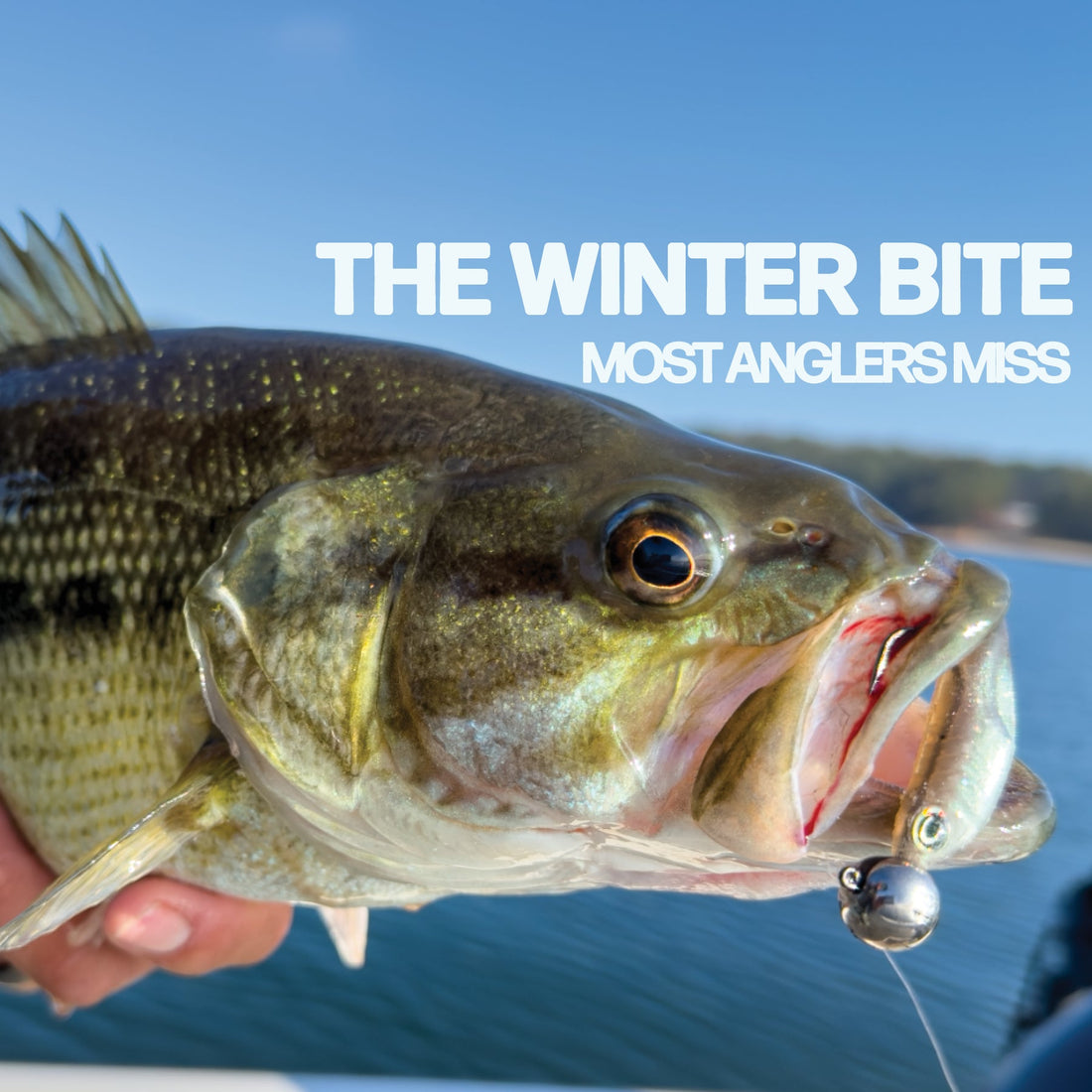 THE WINTER BITE MOST ANGLERS MISS