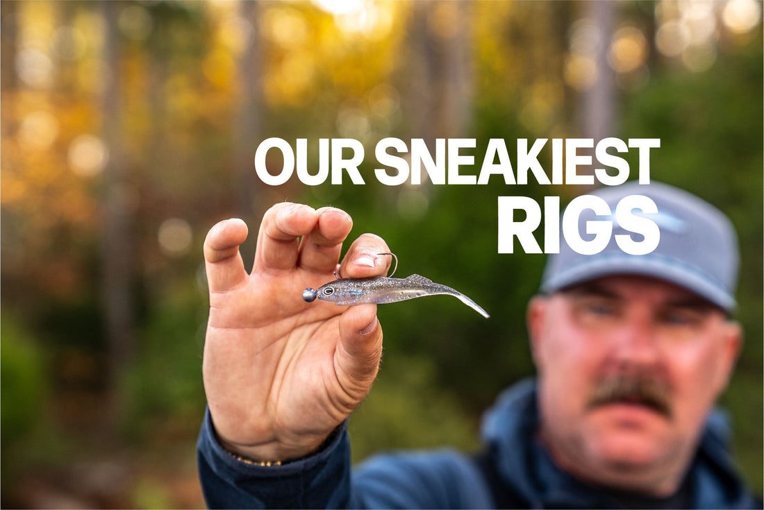 OUR SNEAKIEST RIGS