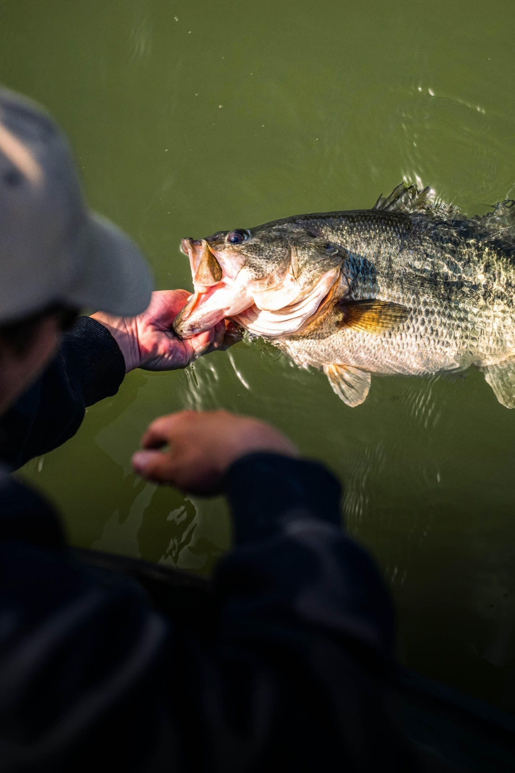 TERMINAL TACKLE
