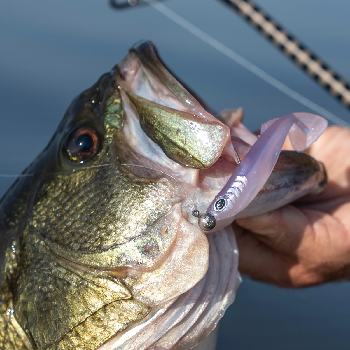 Finesse Swimbait | Prodigy Technique Bundle